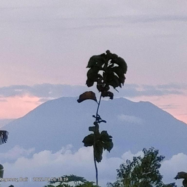 Villa Ume Tenang นูซาเปอนีดา ภายนอก รูปภาพ
